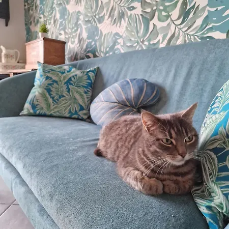 ベッド・アンド・ブレックファスト L'aurore De La Baie, Vue Sur Le Mont-saint-michel ユイヌ・シュル・メール