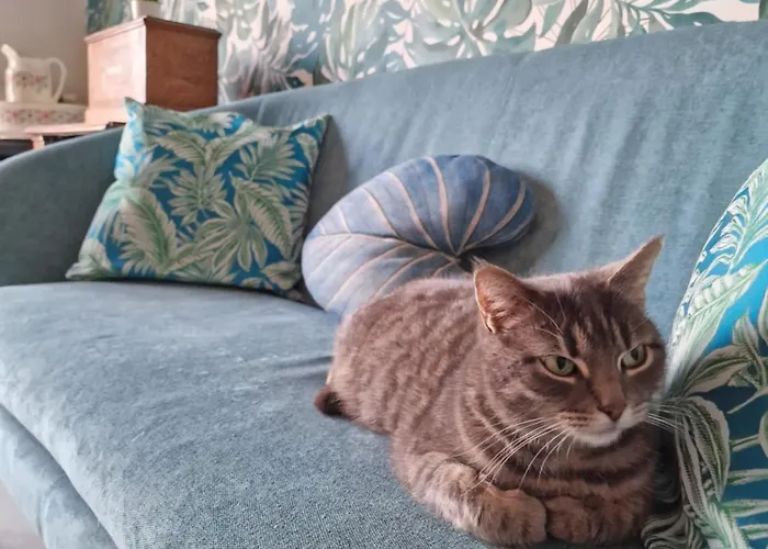Alojamento de Acomodação e Pequeno-almoço L'aurore De La Baie, Vue Sur Le Mont-saint-michel Huisnes-sur-Mer